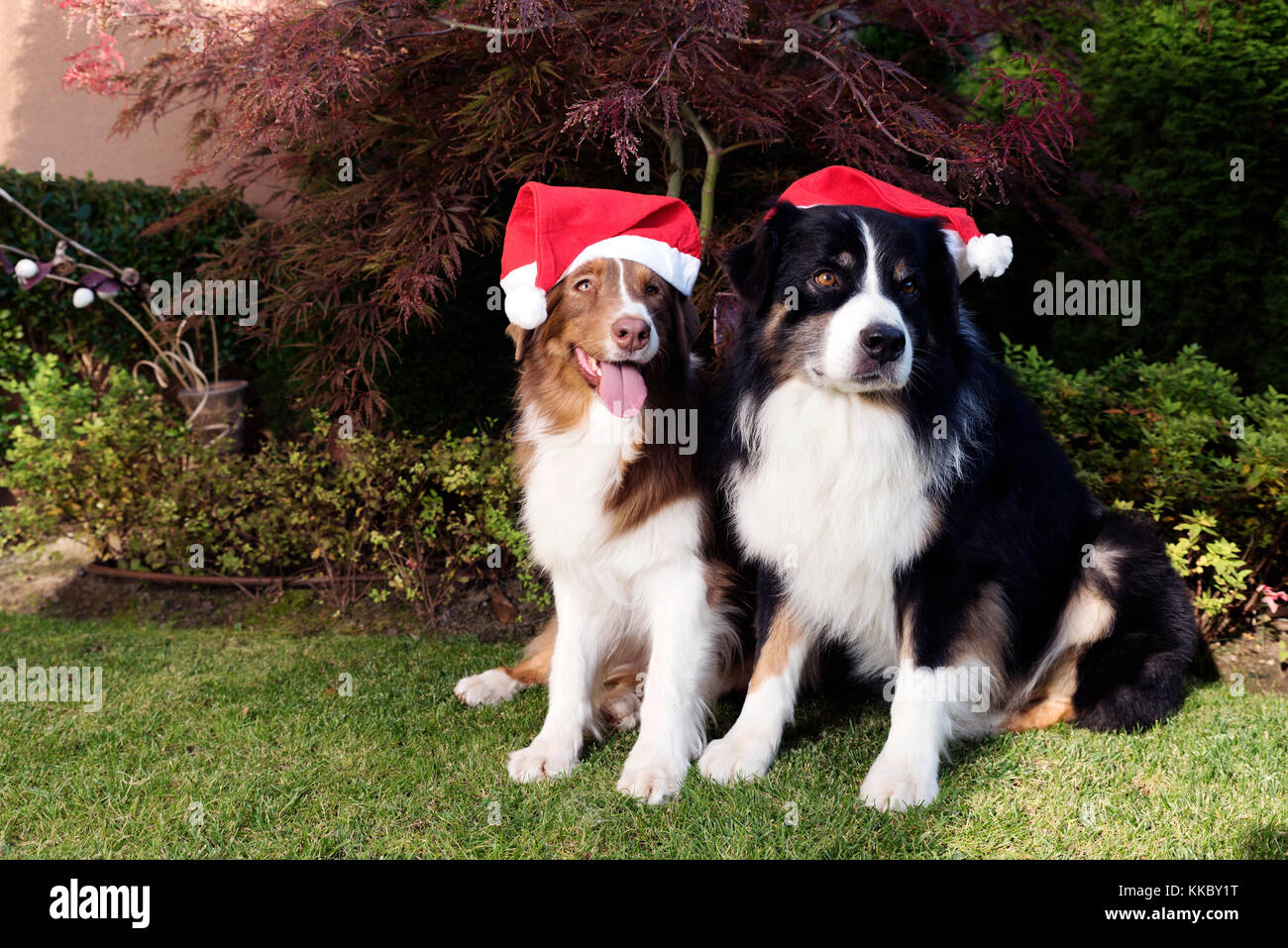 Merry Christmas and Happy New Year Stock Photo