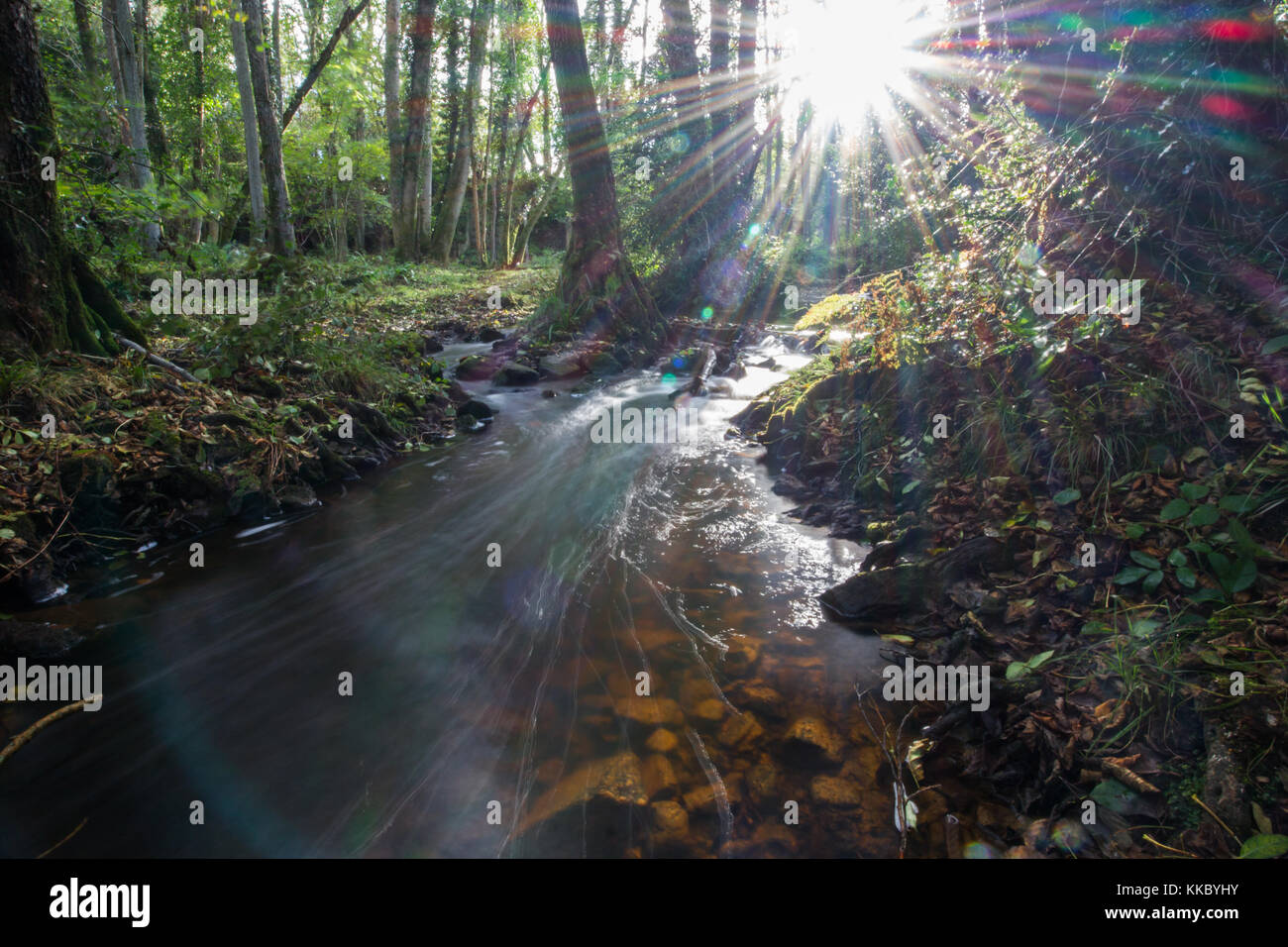 Crowborough countryside hires stock photography and images Alamy
