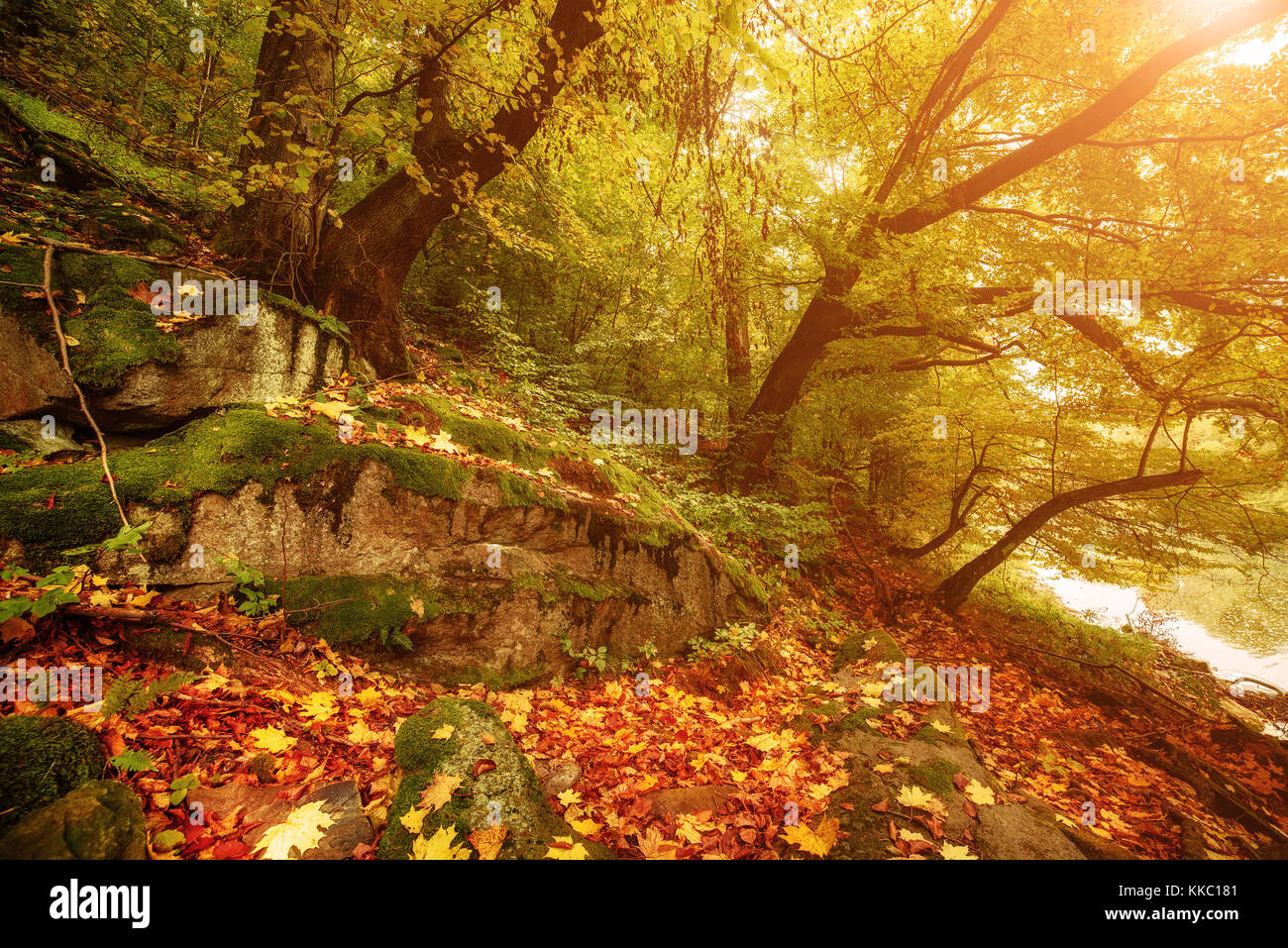 Beautiful autumn landscape Stock Photo - Alamy