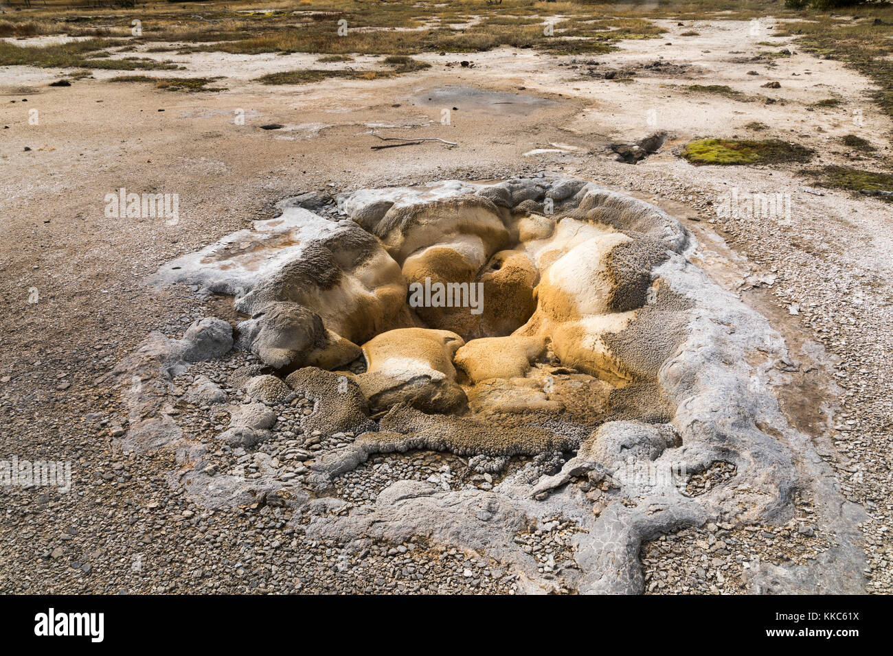 Shell Geyser Thermal Feature in Biscuit Geyser Basin, Yellowstone National Park Stock Photo