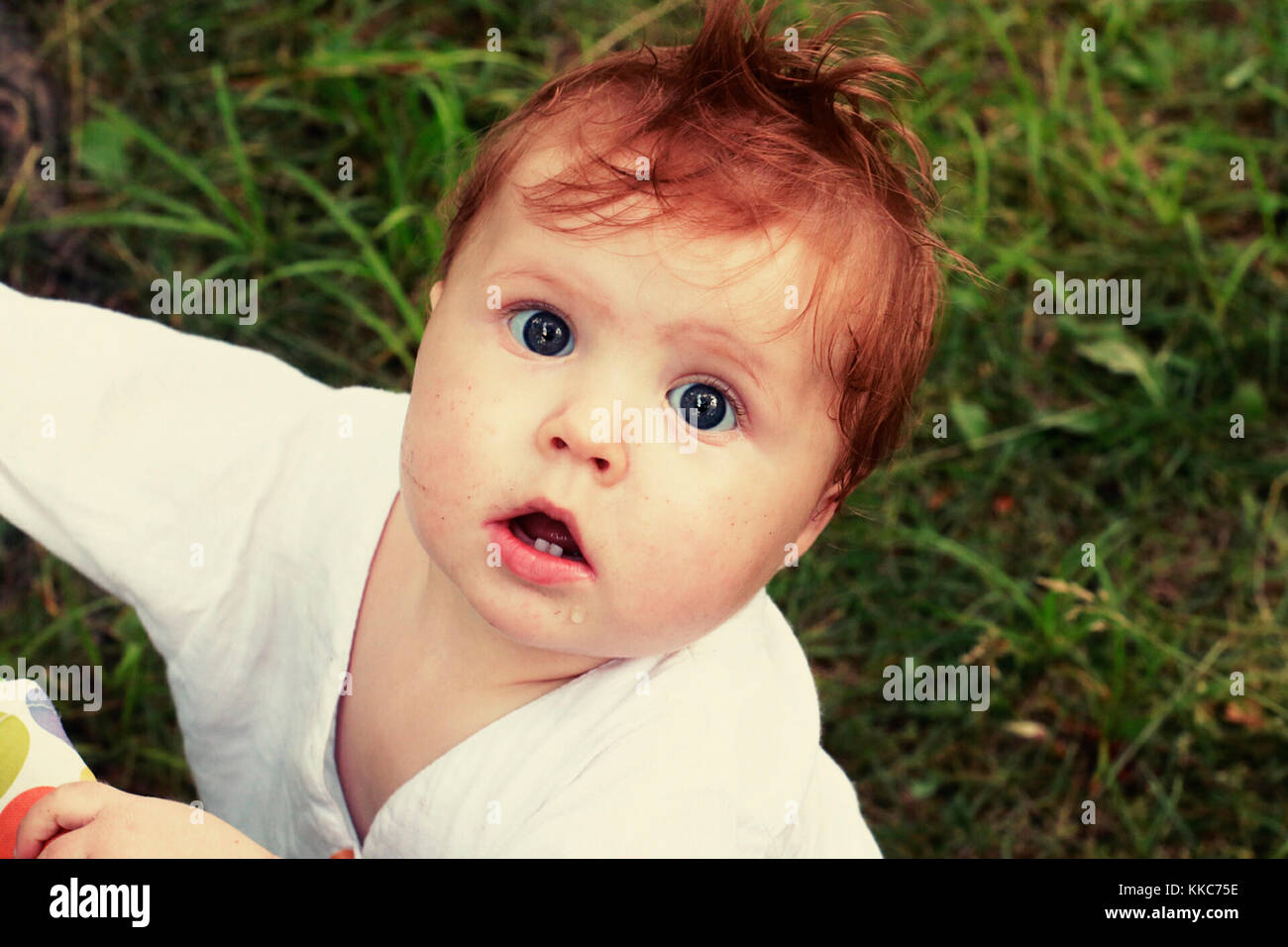 Portrait of surprised red headed baby with big blue eyes and opened mouth dressed in white shirt, looking up on natural green background with grass. Stock Photo