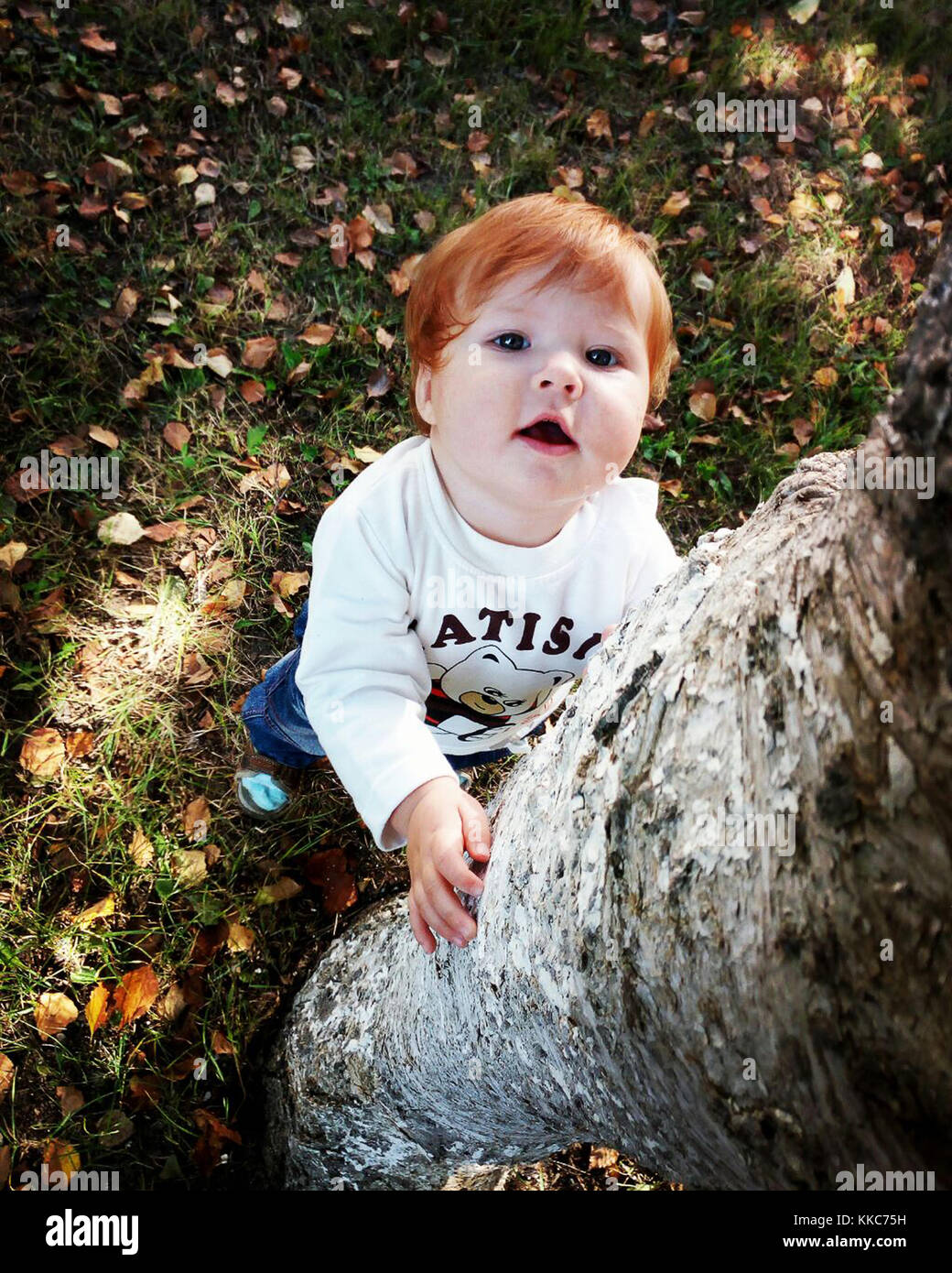 Cute little baby with ginger hair, blue eyes and opened mouth embracing birch tree watching from down to up on autumn background. Stock Photo