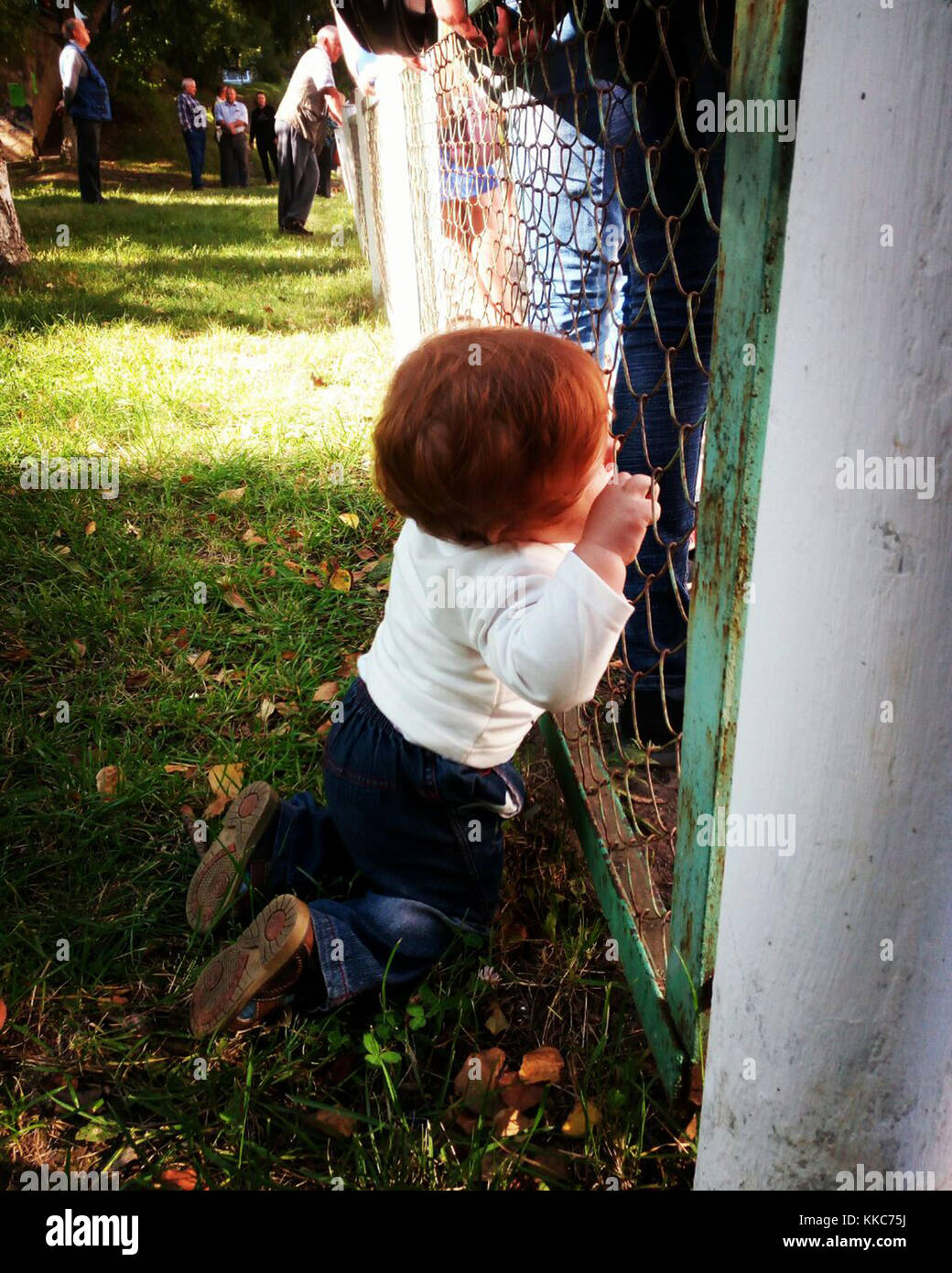 Cute little baby with ginger hair watching through the fence standing on knees alone among adult people around. Stock Photo
