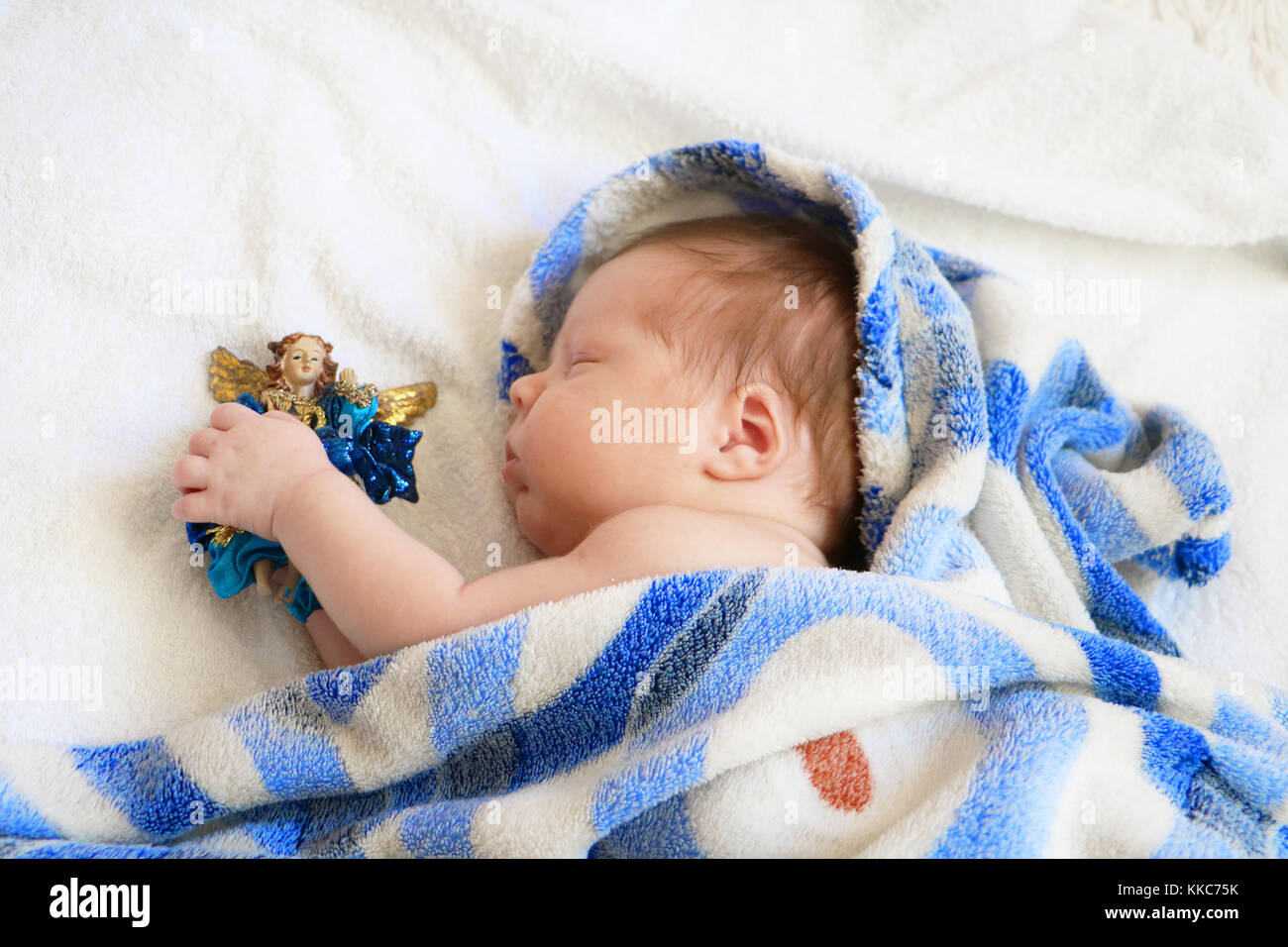 Cute newborn baby sleeping in blue blanket with figure of angel in hands on white background. Stock Photo