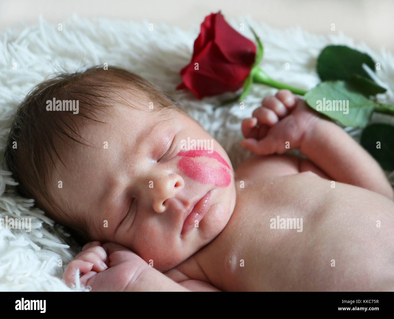 Portrait of cute sleeping newborn baby with kiss mark on the face and red rose on background. Stock Photo