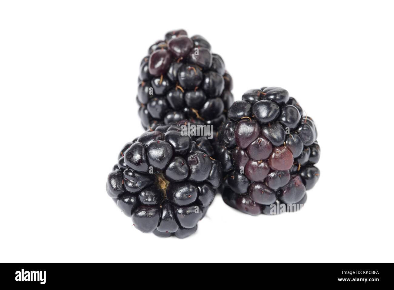 Blackberries berry fruits collection Cut Out Stock Images & Pictures ...