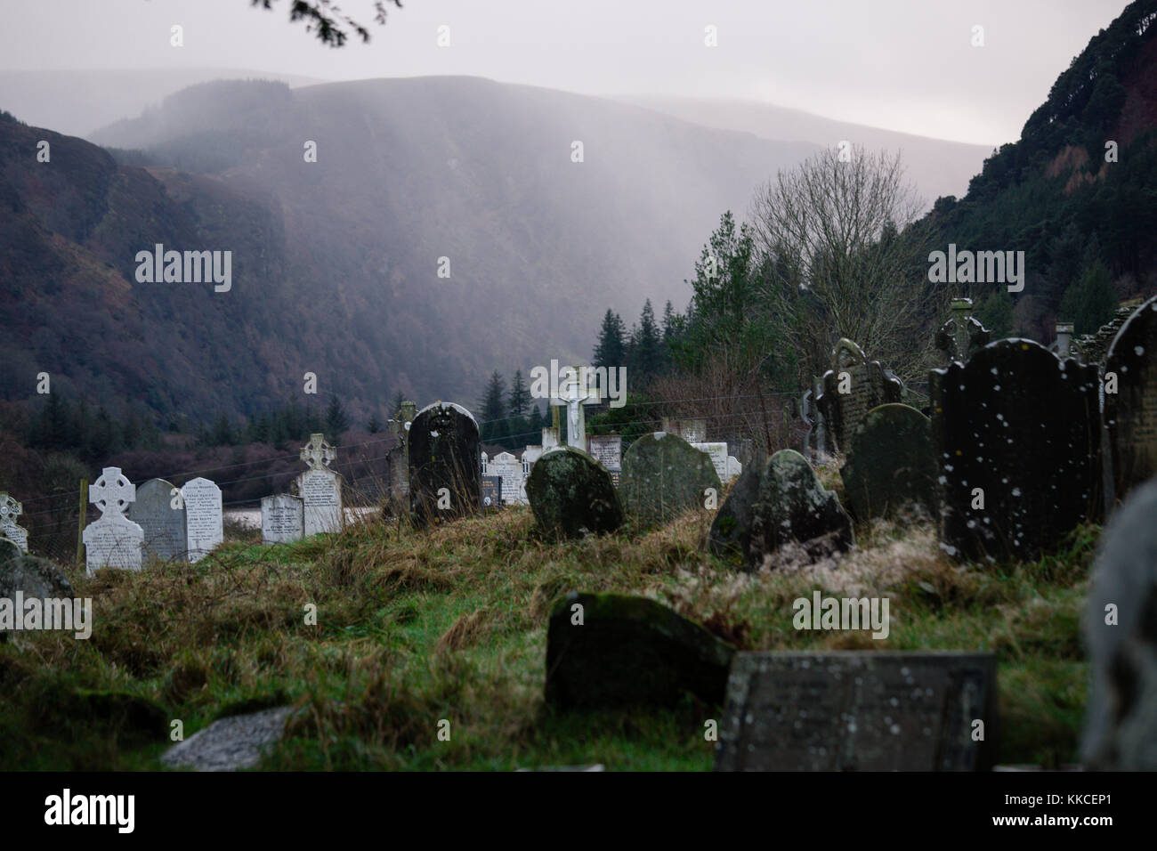 Graveyard with old tombstones in lower valley at the Glendalough Monastic Site, Co. Wicklow, Ireland Stock Photo