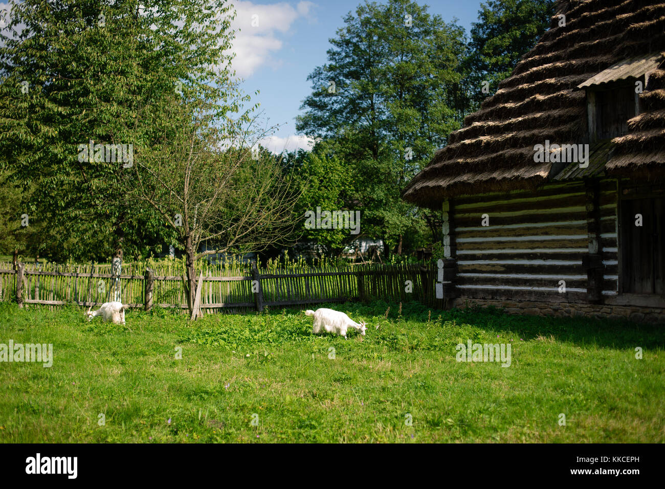 Reconstruction of old timber village in Folk Architecture Museum in Sanok – the biggest open-air museum in Poland Stock Photo