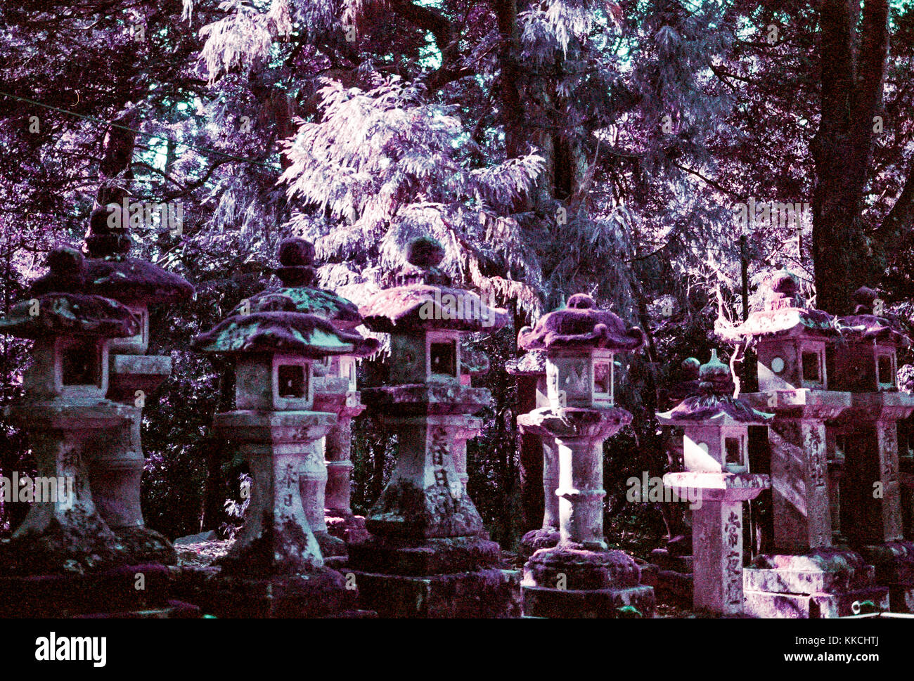 Row of small Japanese statues in forest Shrine in Nara, Japan Stock Photo