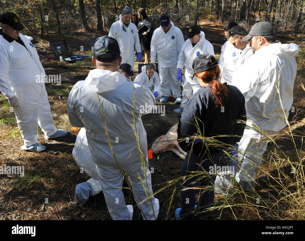 Participants examine a ‘grave site’ during a clandestine grave and human remains recovery training at Joint Base Charleston, S.C., Nov. 14, 2017. The training was the first evolution of its kind to be offered by the Naval Criminal Investigative Service here and was open to base, local law enforcement and local county coroner offices. (Photo by Airman 1st Class Allison Payne) Stock Photo