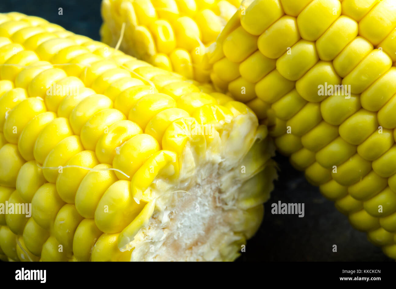 Sweetcorn Cobs and Kernels Stock Photo