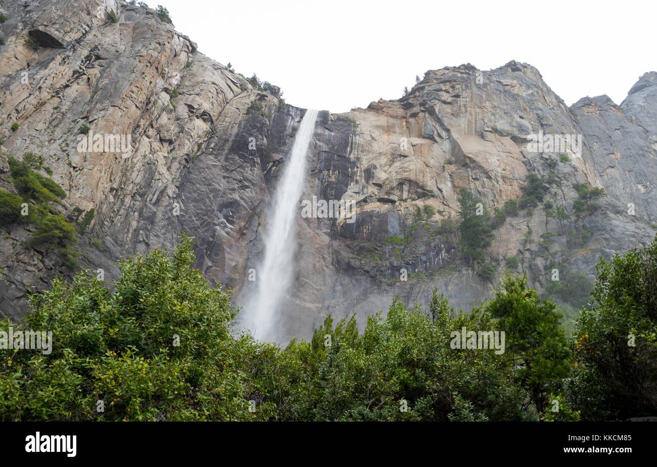Bridal Veil Falls In Yosemite National Park On A Rainy Day In Late Spring When Snow Melt Causes The Falls To Surge With Trees Visible In The Foreground Yosemite Valley California 16