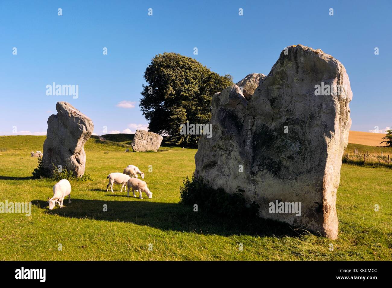 Avebury Neolithic henge and stone circles, Wiltshire, England. 5600 years old. Megaliths in the SE quadrant Stock Photo