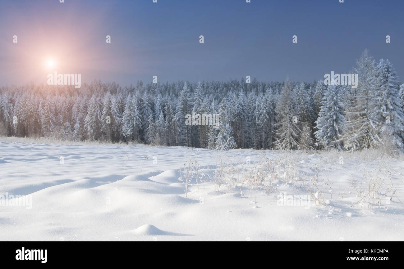 winter landscape, forest covered by snow Stock Photo