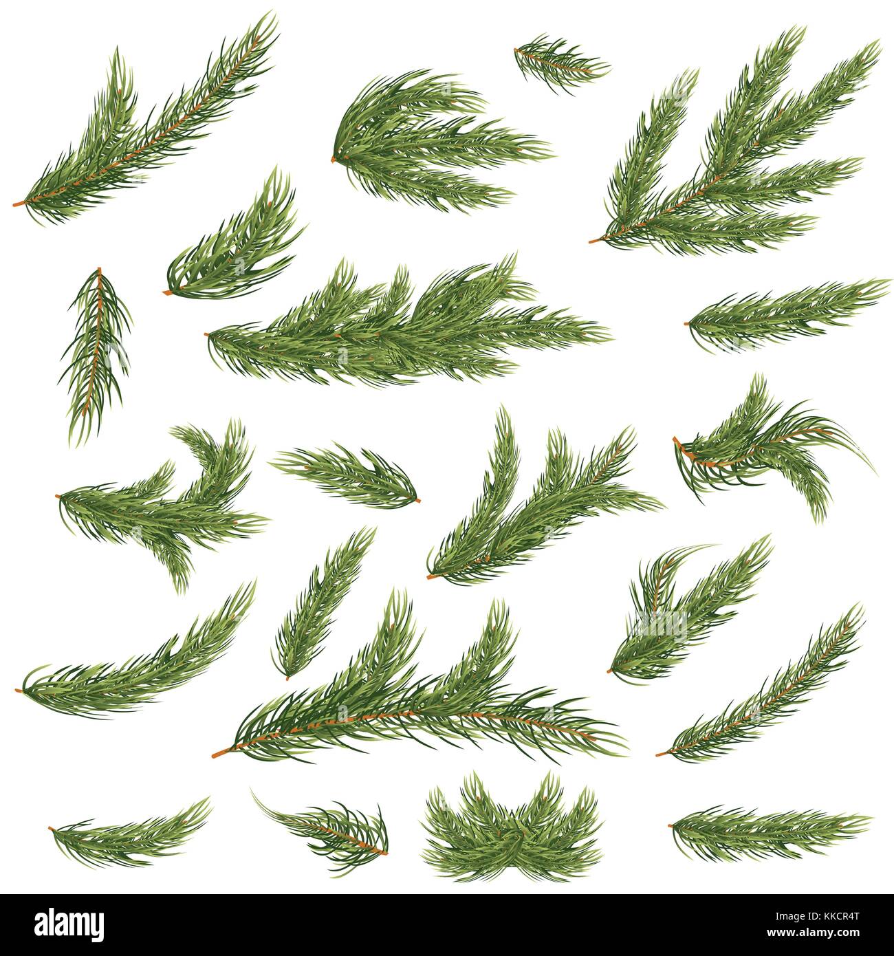 Set of Fir Branches. Christmas Tree. Vector Illustration. Stock Vector