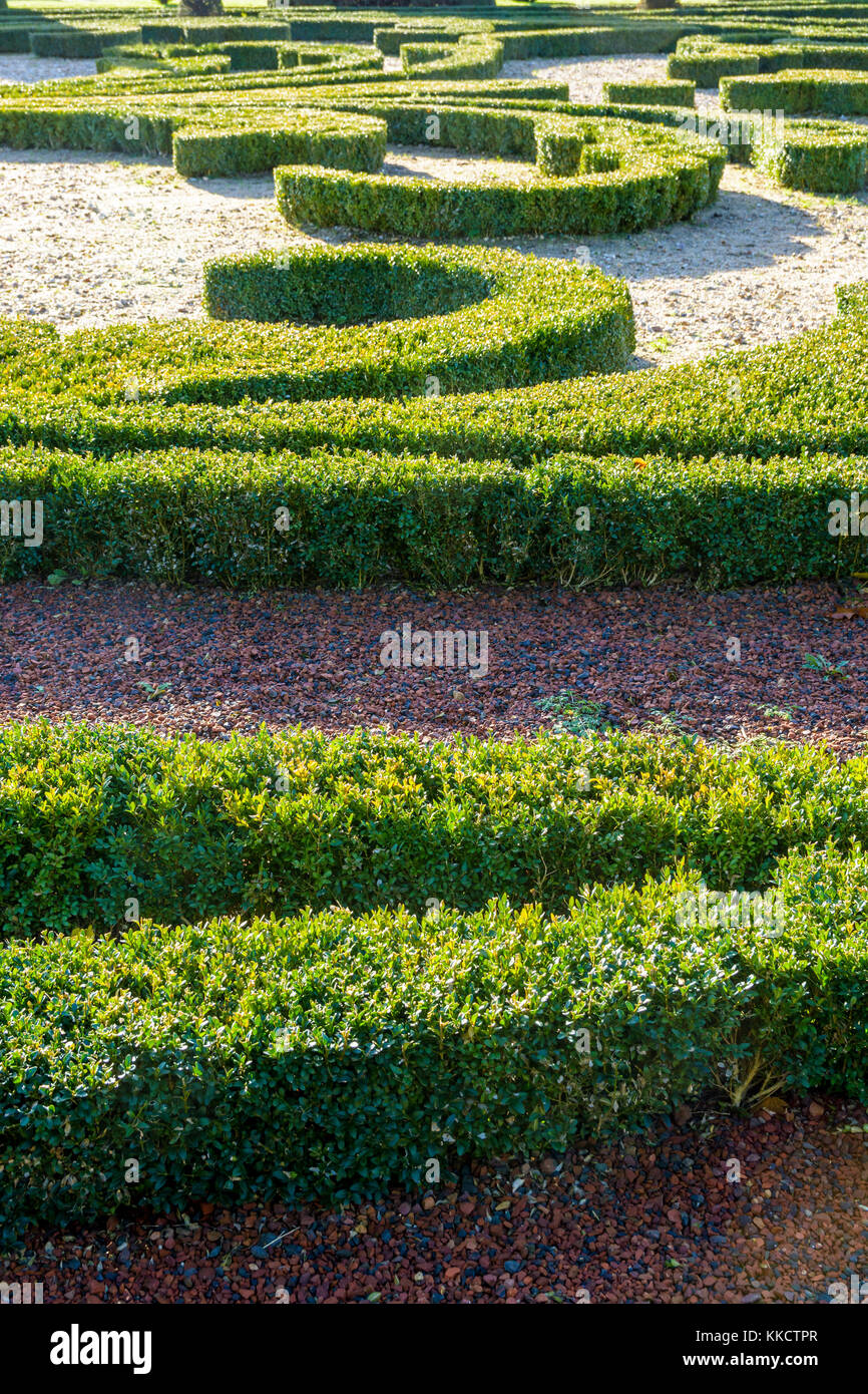 Trimmed boxwood in a french formal garden. Stock Photo