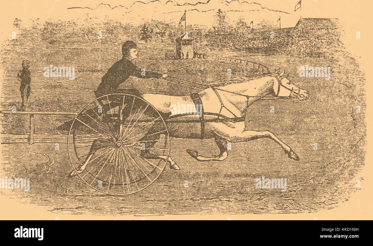 экипажное дело. чертежи карет фаэтон. крепостной форейтор. кучер петербург 1912. мебель 1872 года.