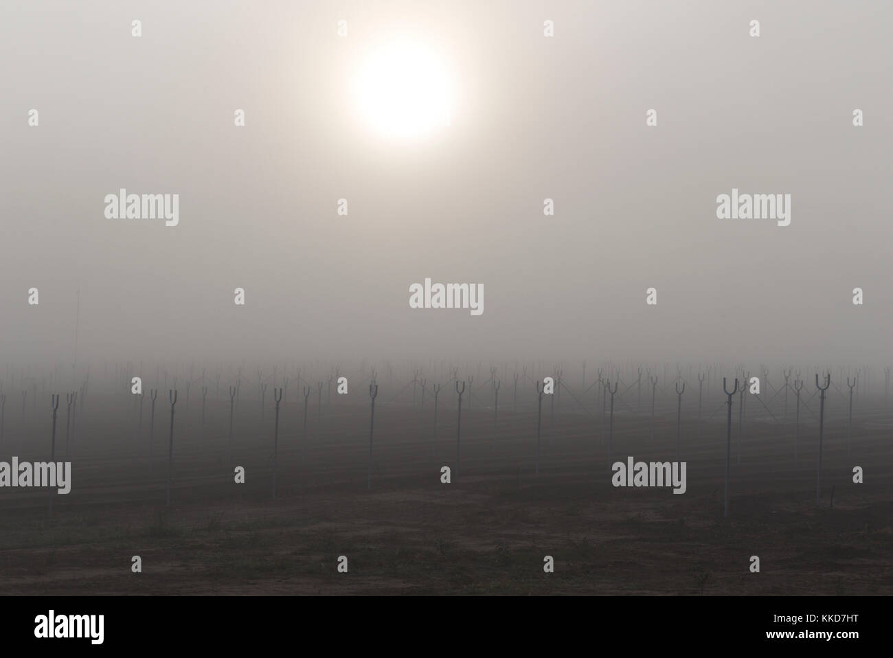 Hydroponics farm tunnels under construction Wallaville Queensland