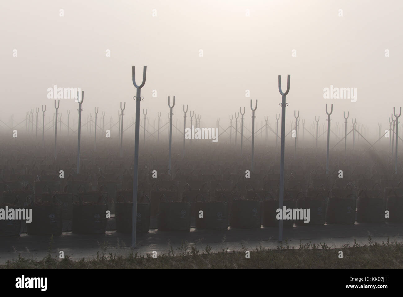 Hydroponics farm tunnels under construction Wallaville Queensland