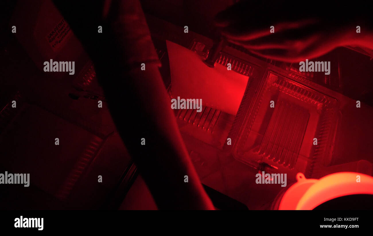 Darkroom printing process photographer using enlarger to produce