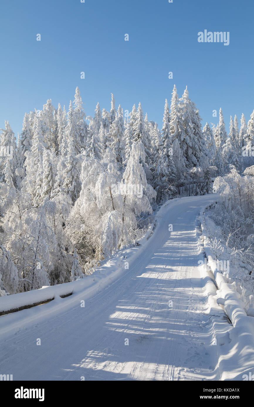 Norwegian winding forest road in the winter Stock Photo