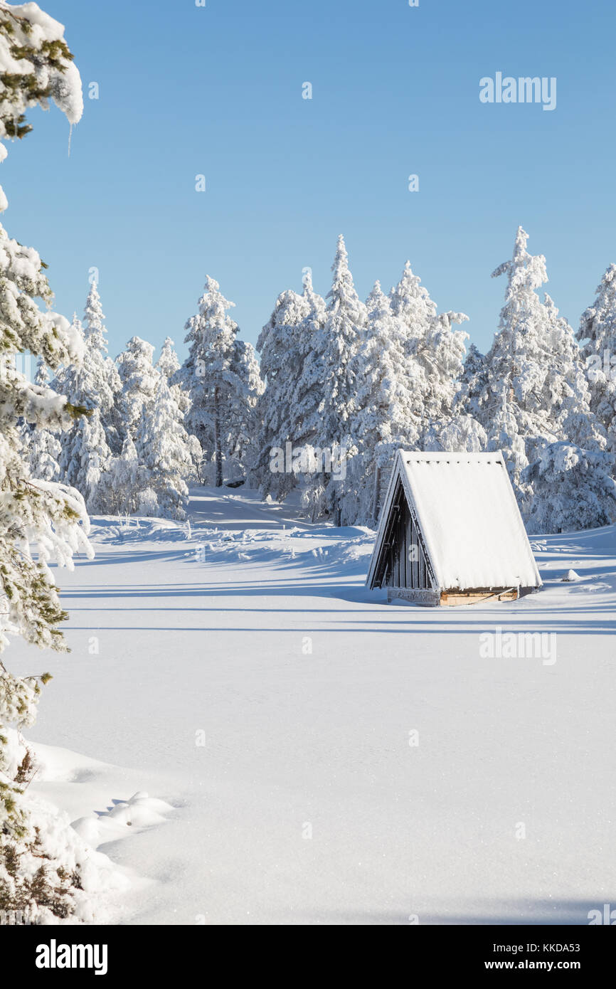Water control hut surrounded by trees in the winter covered in snow Stock Photo