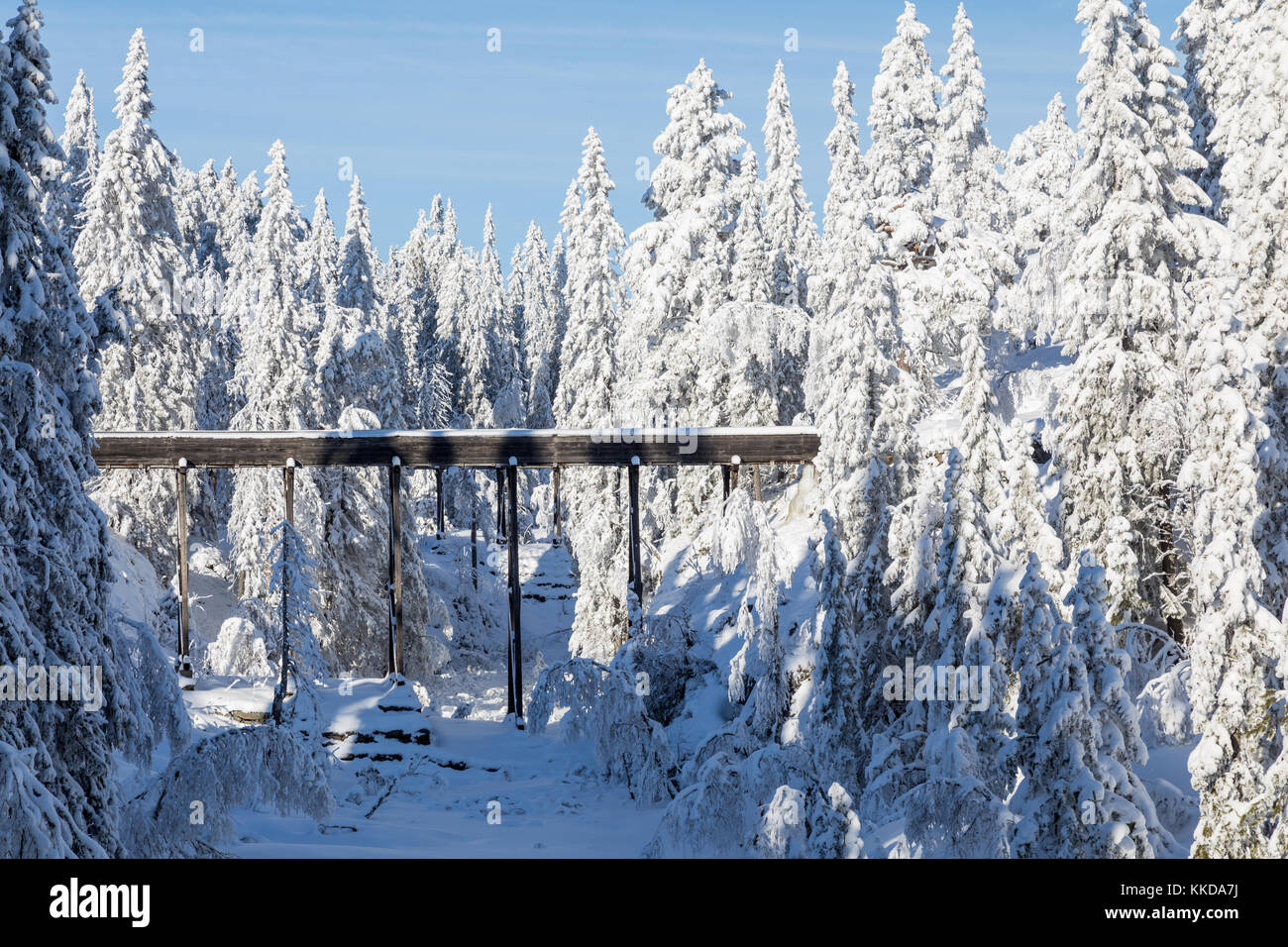 Wooden aqueduct from old silver mines surrounded by snow covered trees Stock Photo