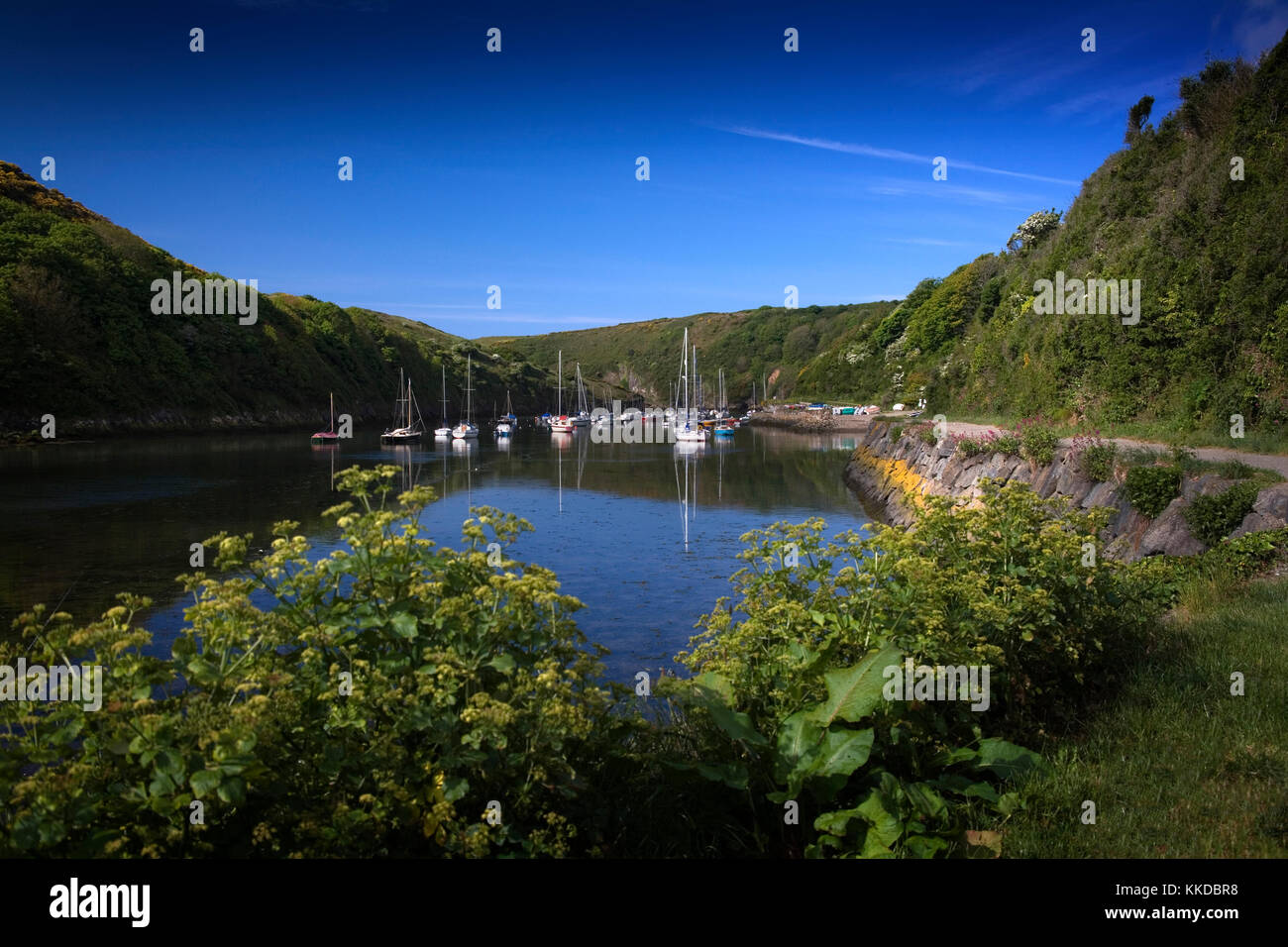 Solva harbour, Pembrokeshire, Wales, UK with small boats at anchor and reflections in the perfectly still water on a beautiful summer morning Stock Photo