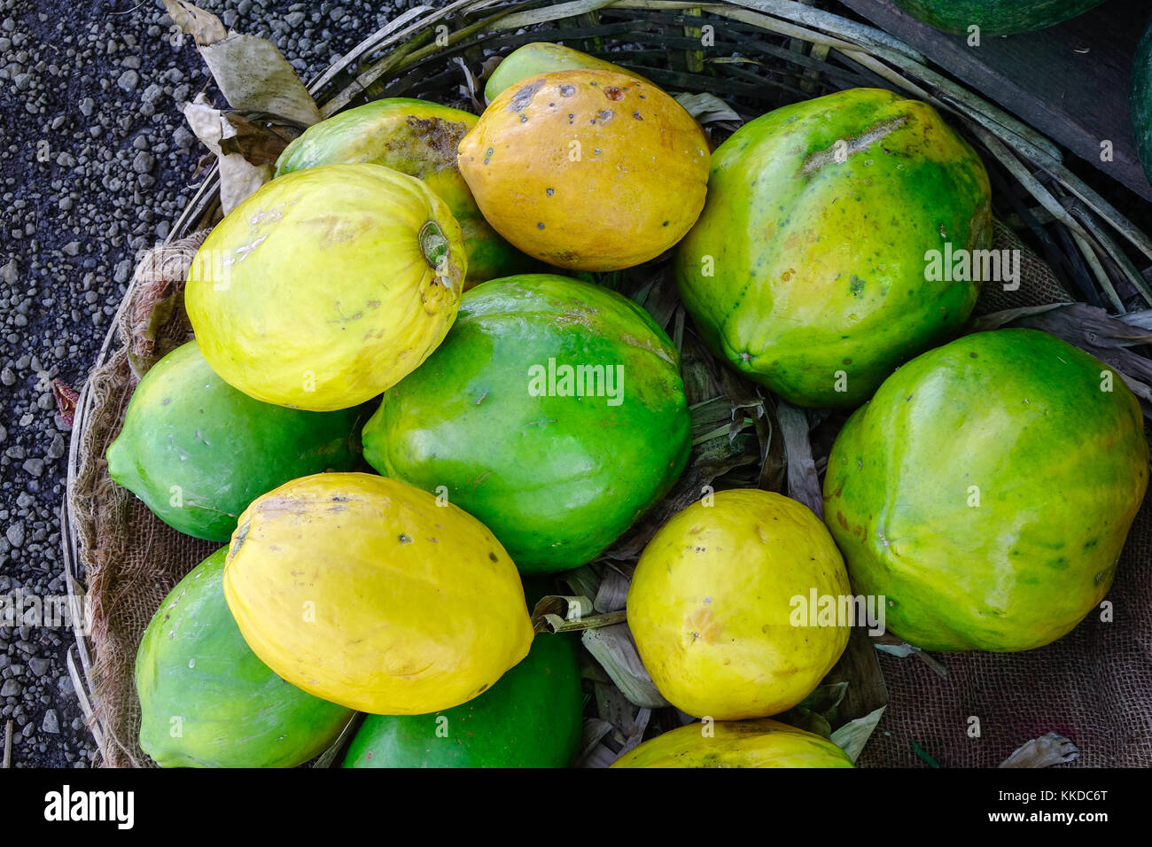 Papaya fresh fruits for sale at the street market in Mauritius Island Stock Photo Alamy