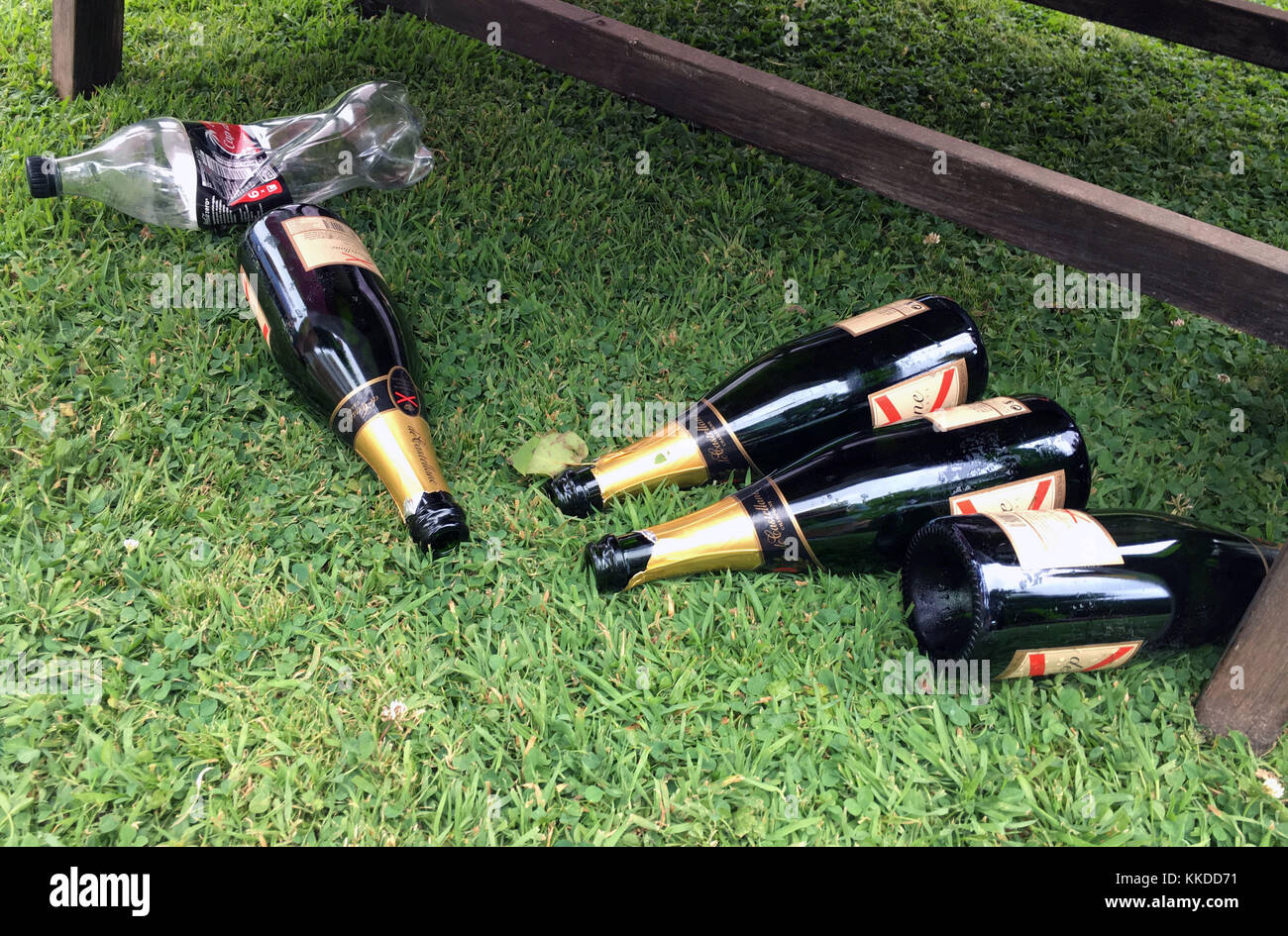 Empty Bottles of Champagnes & sodas on the ground on the grass under a wood table during a part or wedding or any other celebration Stock Photo