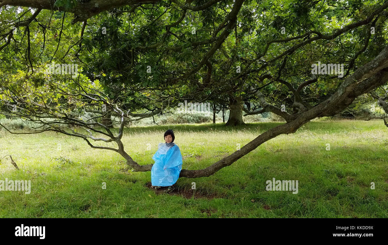Little boy sitting on a branch of a tree is waiting for the rain to stop.he is in a park or garden, wearing a raincoat Stock Photo