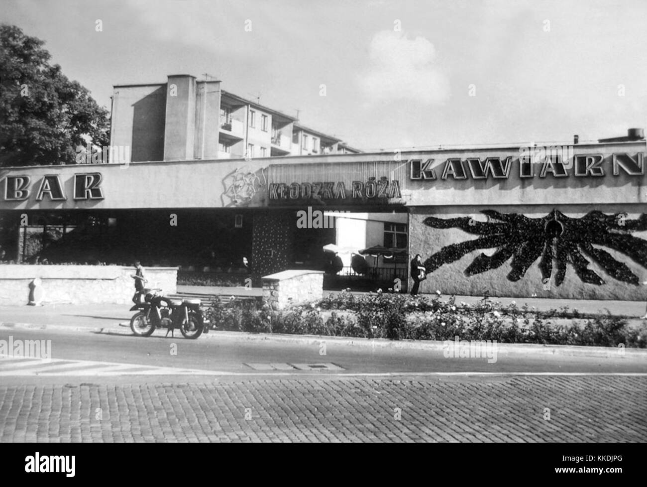 The Klodzka Rose, photographed in 1976, is a notable example of local ...