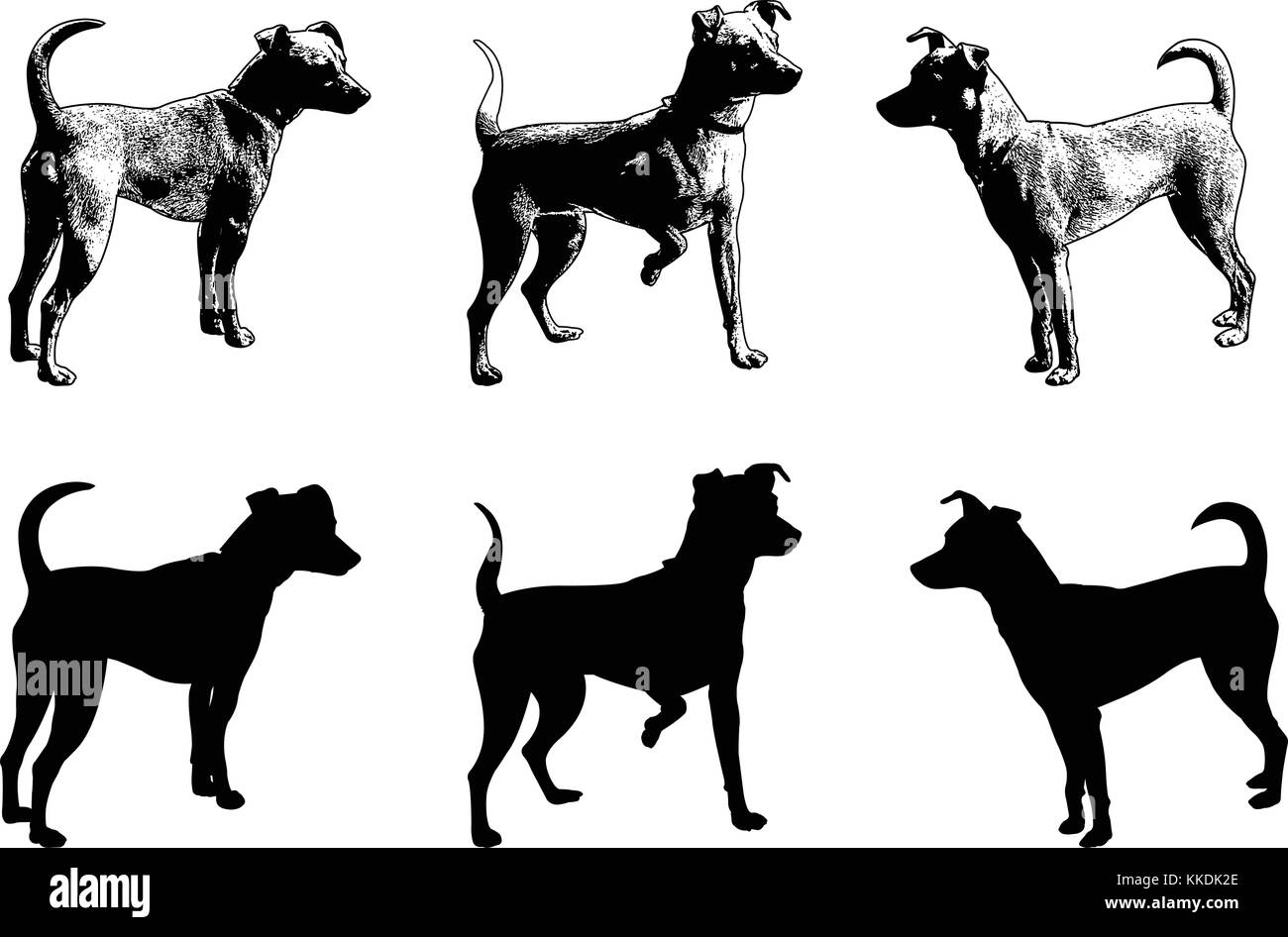 silhouettes and sketch illustration of mini pincher dog - vector Stock Vector