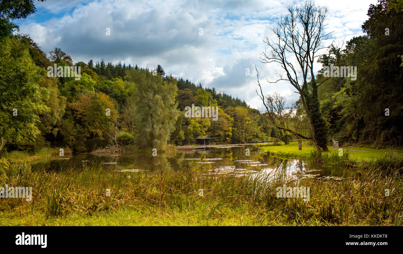 Scenic view at lake with boat house surrounded by stunning woodland in Castlecomer Discovery Park, co. Kilkenny, Ireland Stock Photo