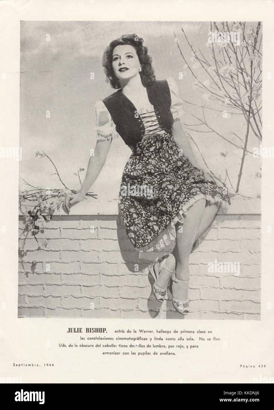 Julie bishop hi-res stock photography and images - Alamy