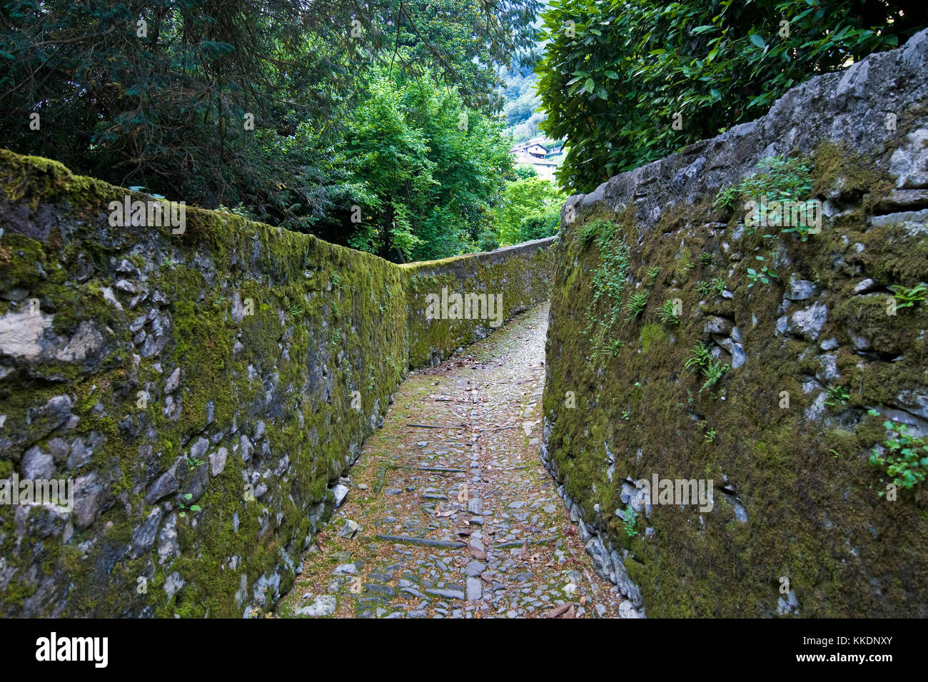 Trail, Villa Beccaria, Sala Comacina, Como lake, Italy Stock Photo