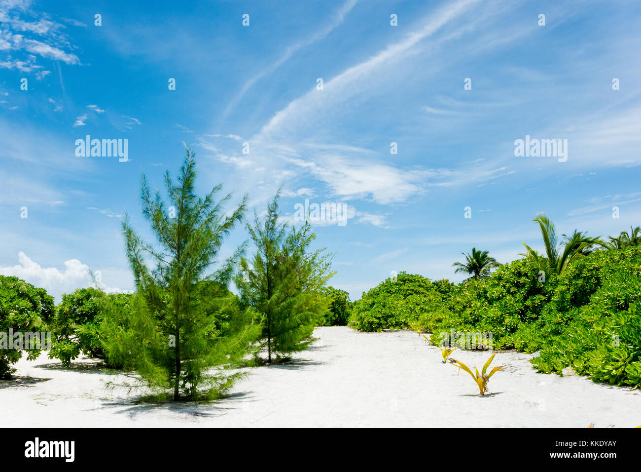 Feydhoo Finolhu Maldives Stock Photo - Alamy