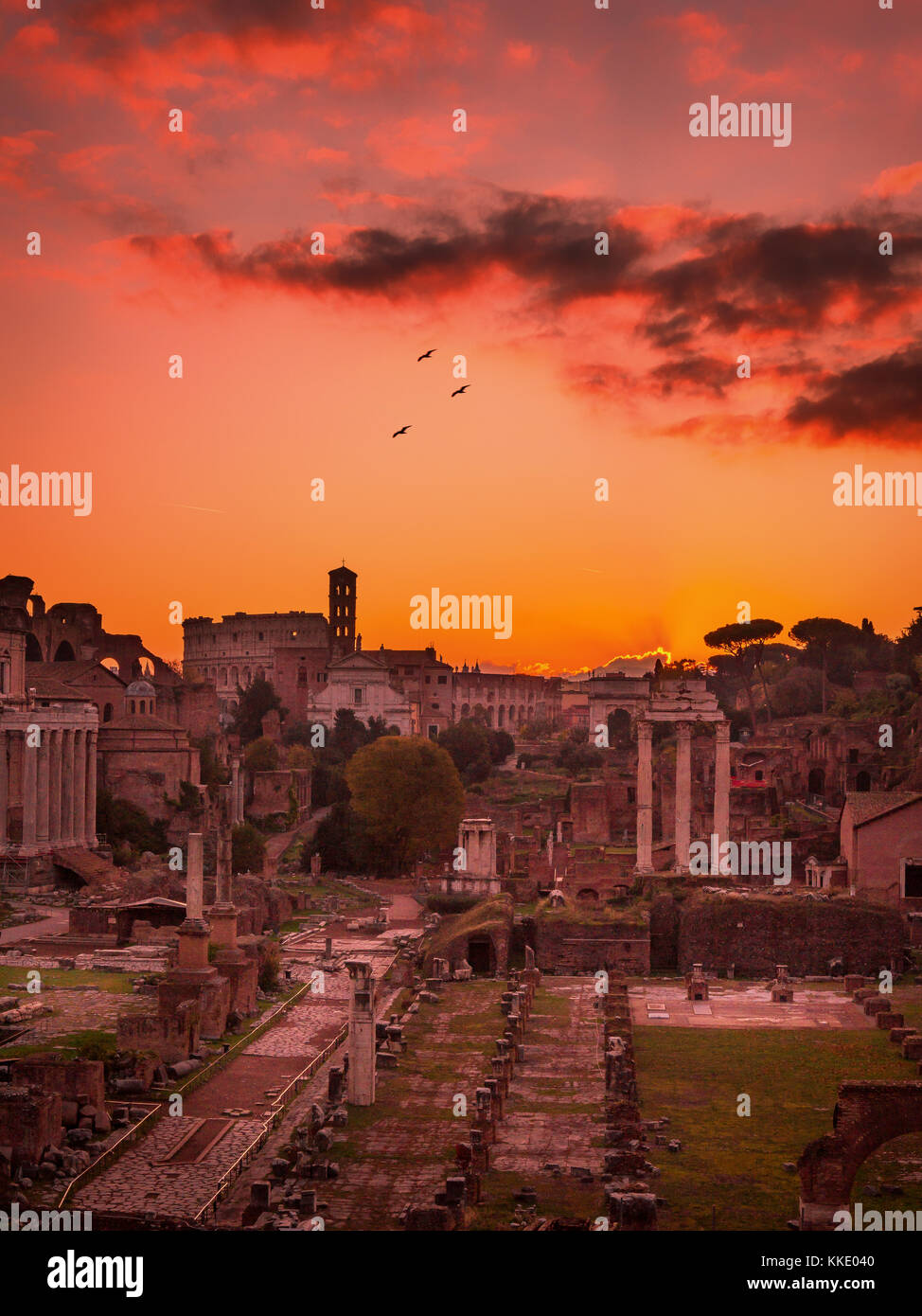 Rome and Roman Forum in Autumn (Fall) on a sunrise with beautiful stunning sky and sunrise colors Stock Photo