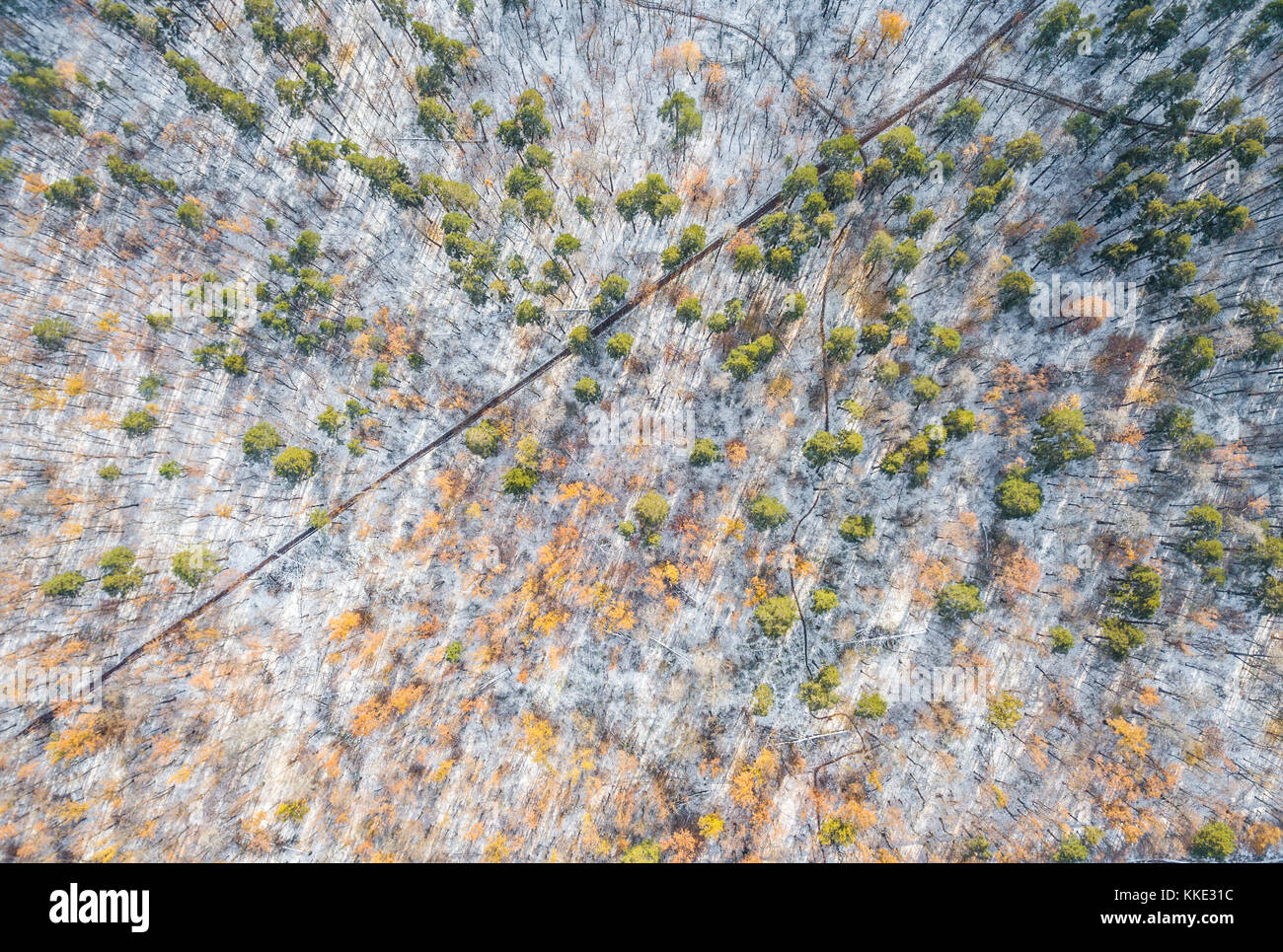 Nature aerial forest view hi-res stock photography and images - Alamy