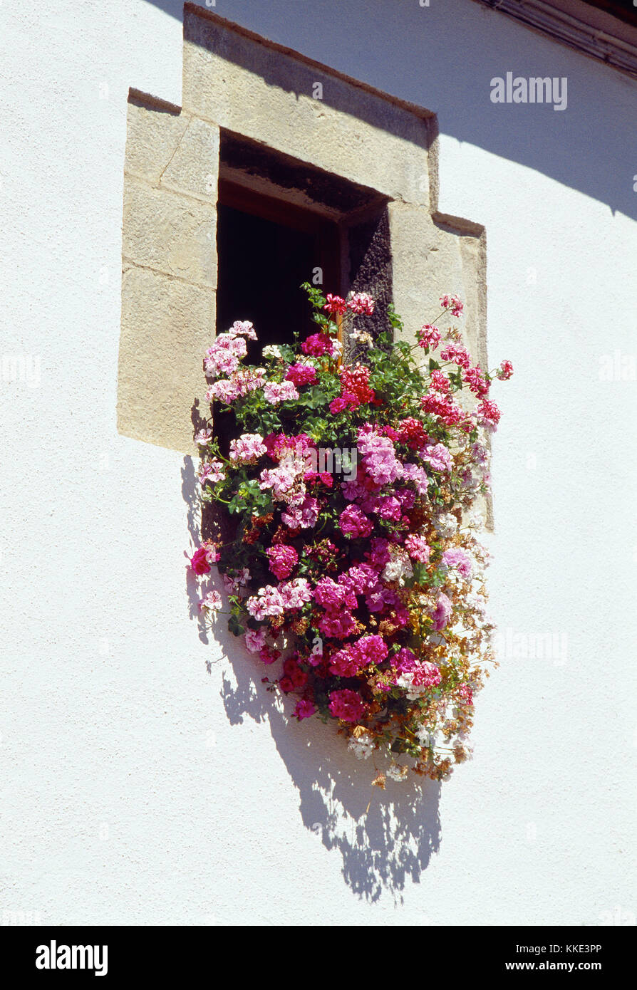 Detail of window with flowers. Lantz, Navarra, Spain. Stock Photo
