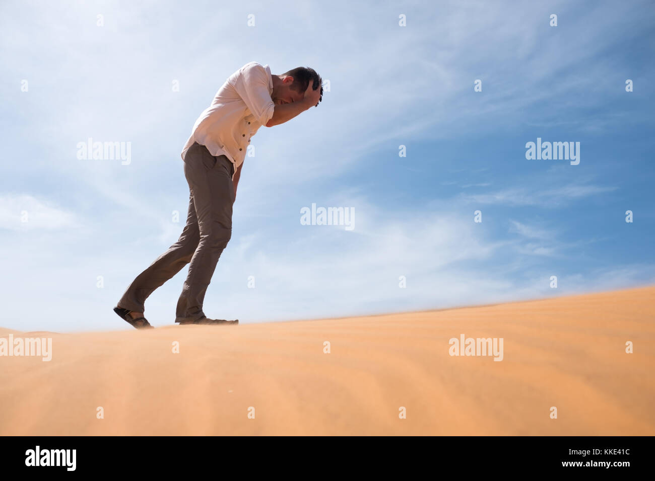 Desert walking online
