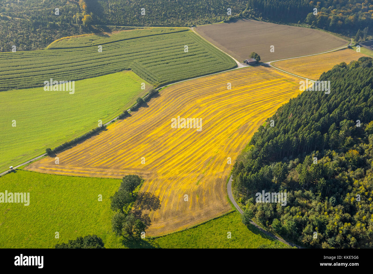Wallenstein, dirt road, intersection of a dirt road, old barn made of tin, paths intersect, Meschede, Sauerland, Kreis Hochsauerland, North Rhine-West Stock Photo
