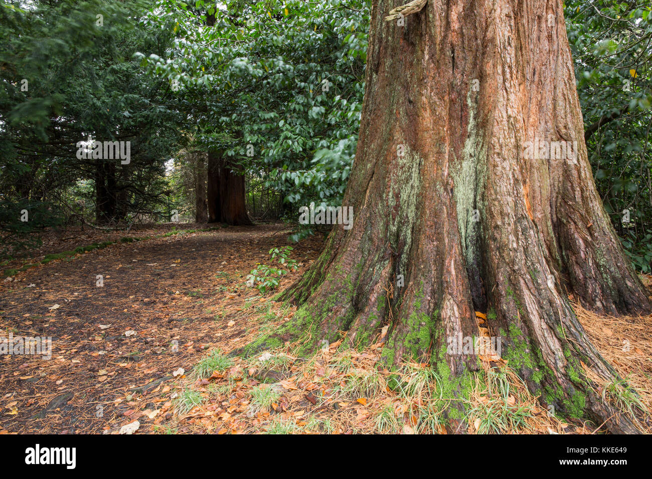 Rouken Glen Park. Glasgow. Scotland. Stock Photo