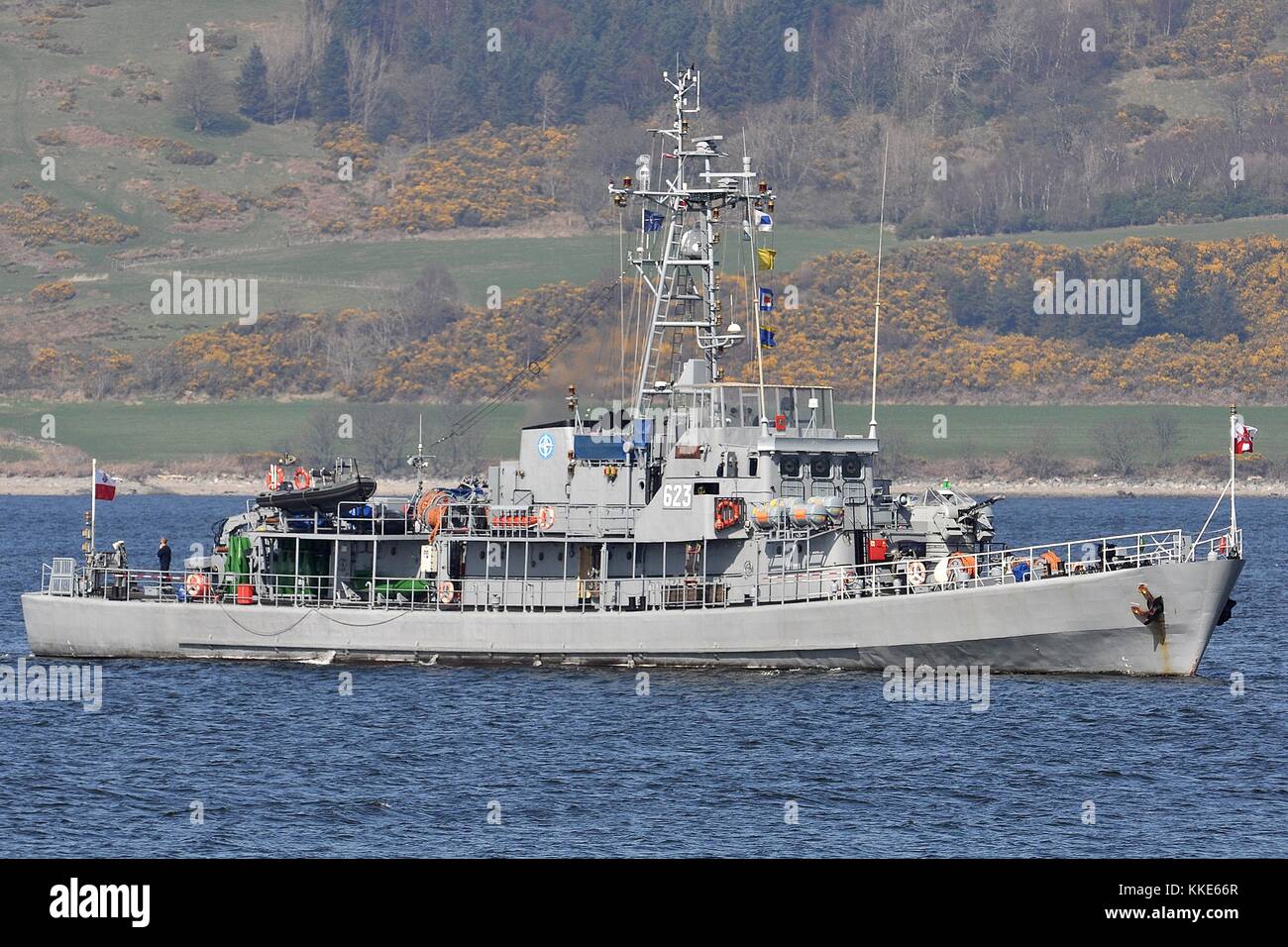 Orp mewa hires stock photography and images Alamy