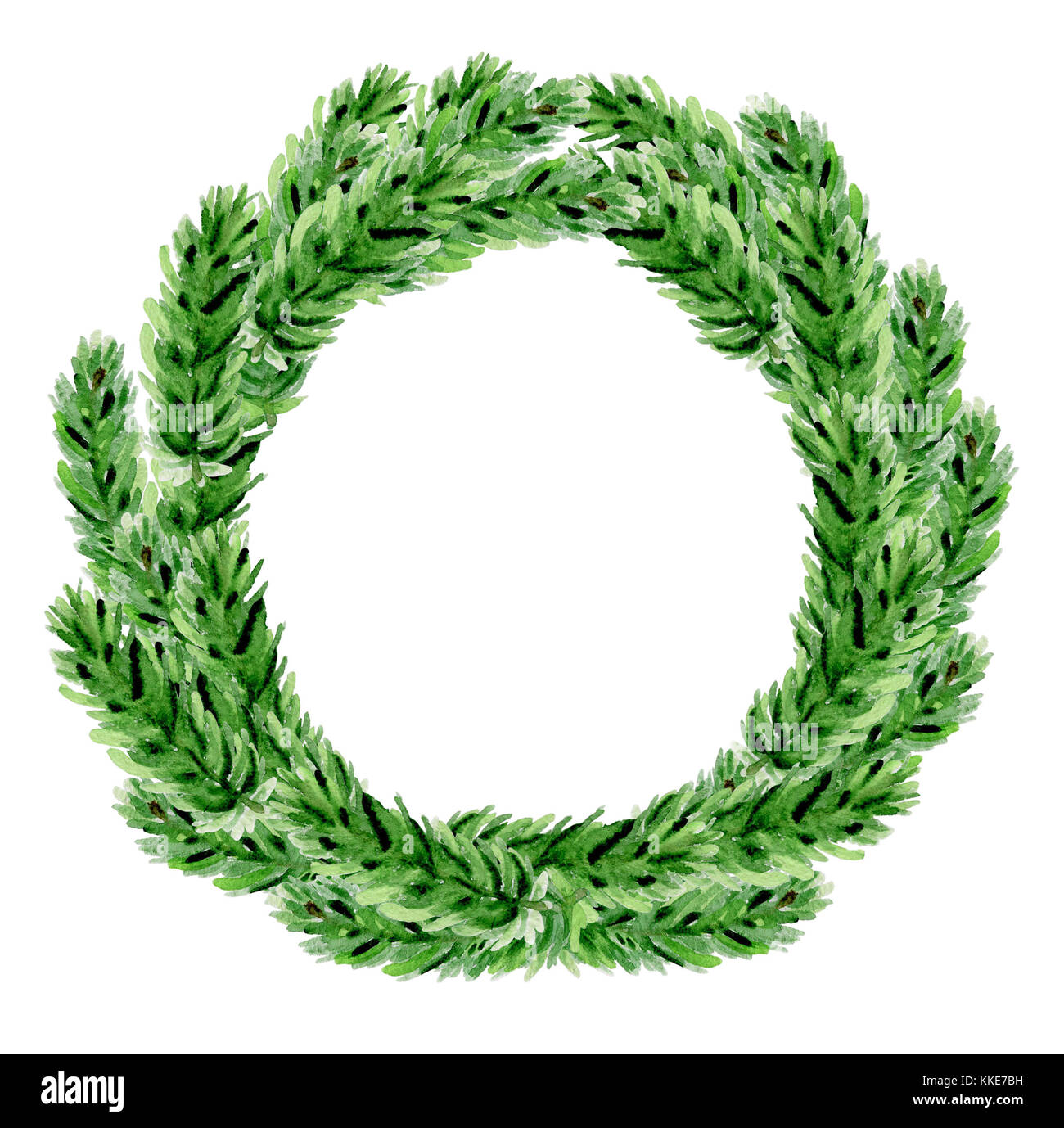 Hand drawn watercolor Christmas wreath. Green fir branches on a white ...