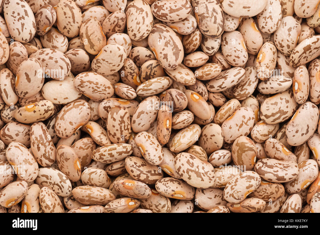 dry uncooked pinto beans close up background image Stock Photo