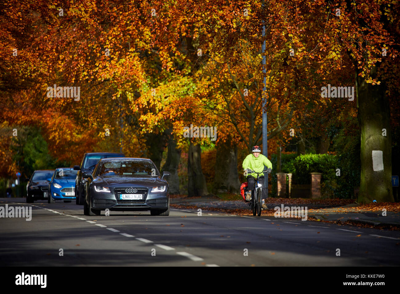 Wilmslow golden autumn leaves cover Manchester Road towards Handforth Stock Photo