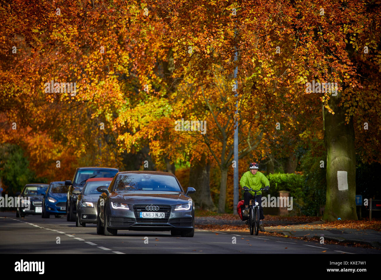 Wilmslow golden autumn leaves cover Manchester Road towards Handforth Stock Photo