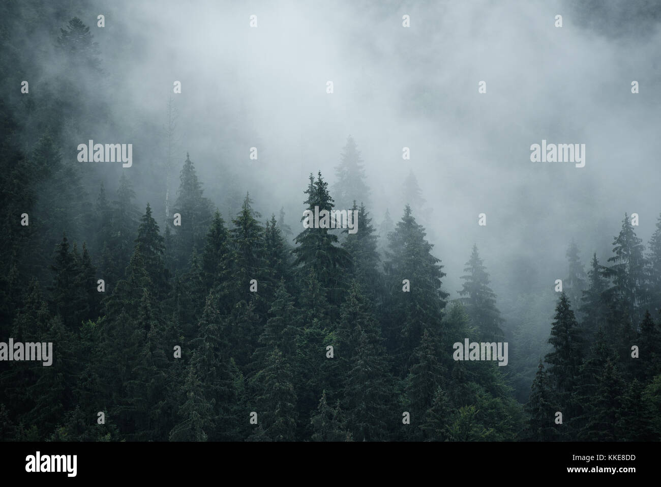 Misty mountain landscape Stock Photo - Alamy