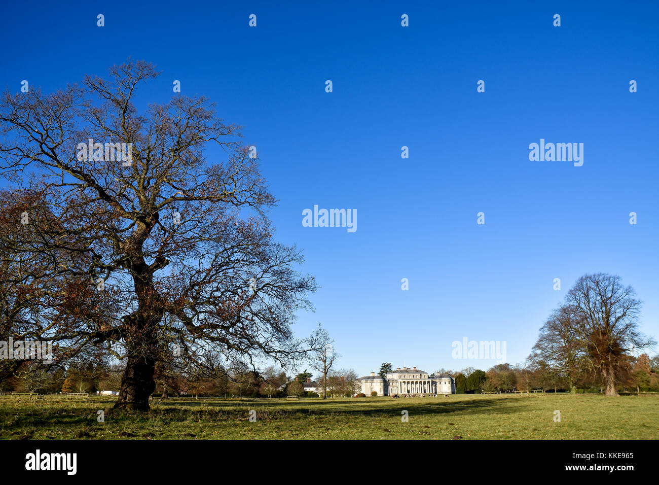 Extensive view across the front lawns of Shugborough Hall, Staffordshire which is the ancestral home of the Earl of Lichfield Stock Photo